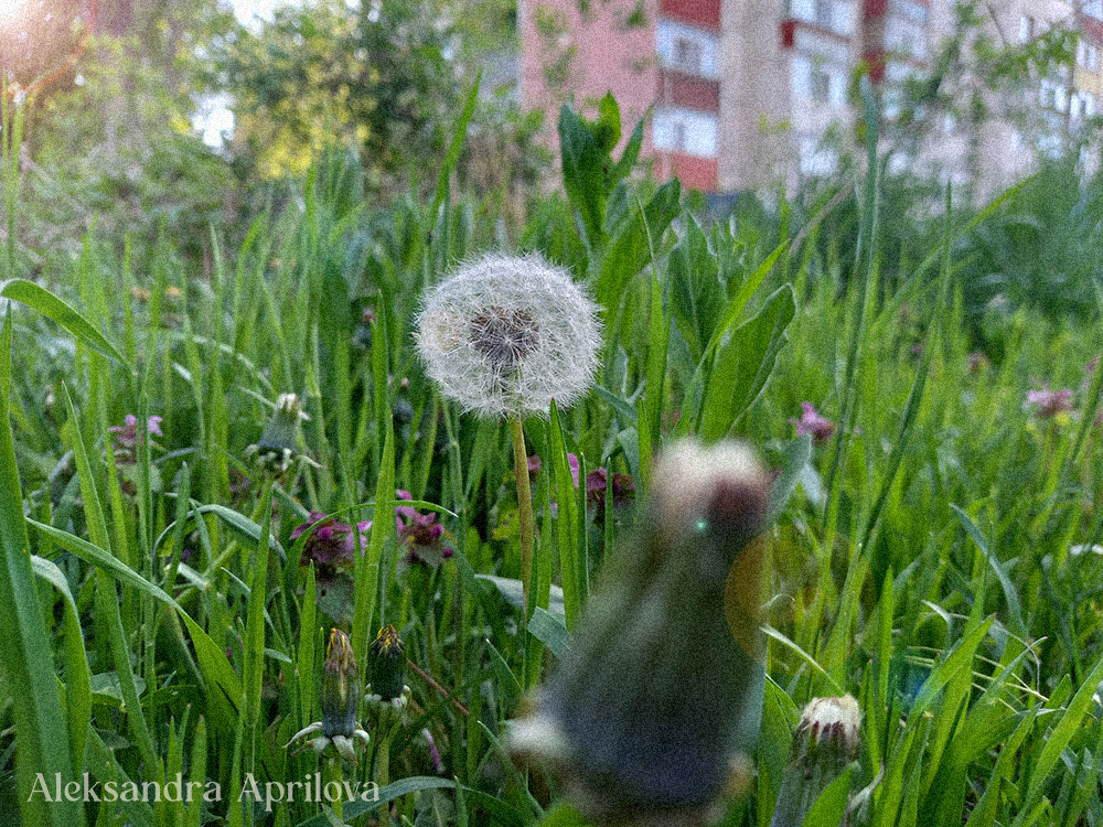 За силата на позитивното мислене и 60 позитивни утвърждения за по-добър и щастлив&nbsp;живот