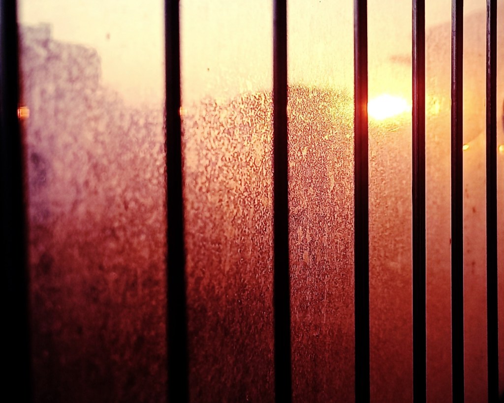 Видео кутия