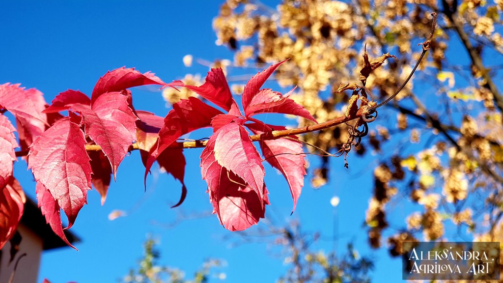 Танцът на есента